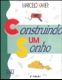 Construindo um sonho